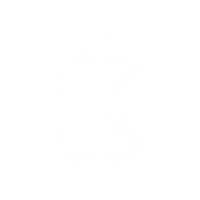 Icon 7